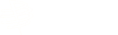 Plaut